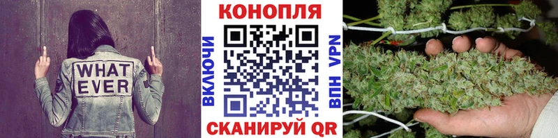 Канабис сатива  наркота  Новоаннинский 